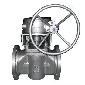 Sleeved Plug Valve