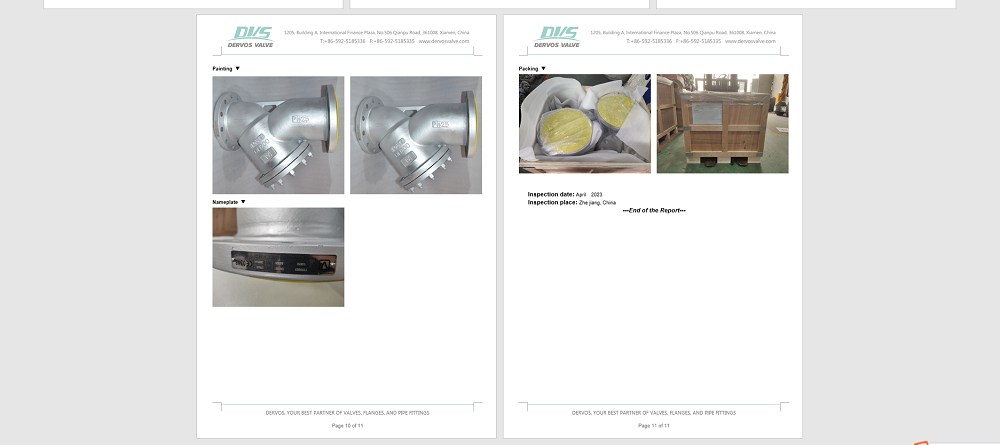 DN200 PN25 Y Type Strainer, RF Connection, Body 1.0619, BS EN 13709