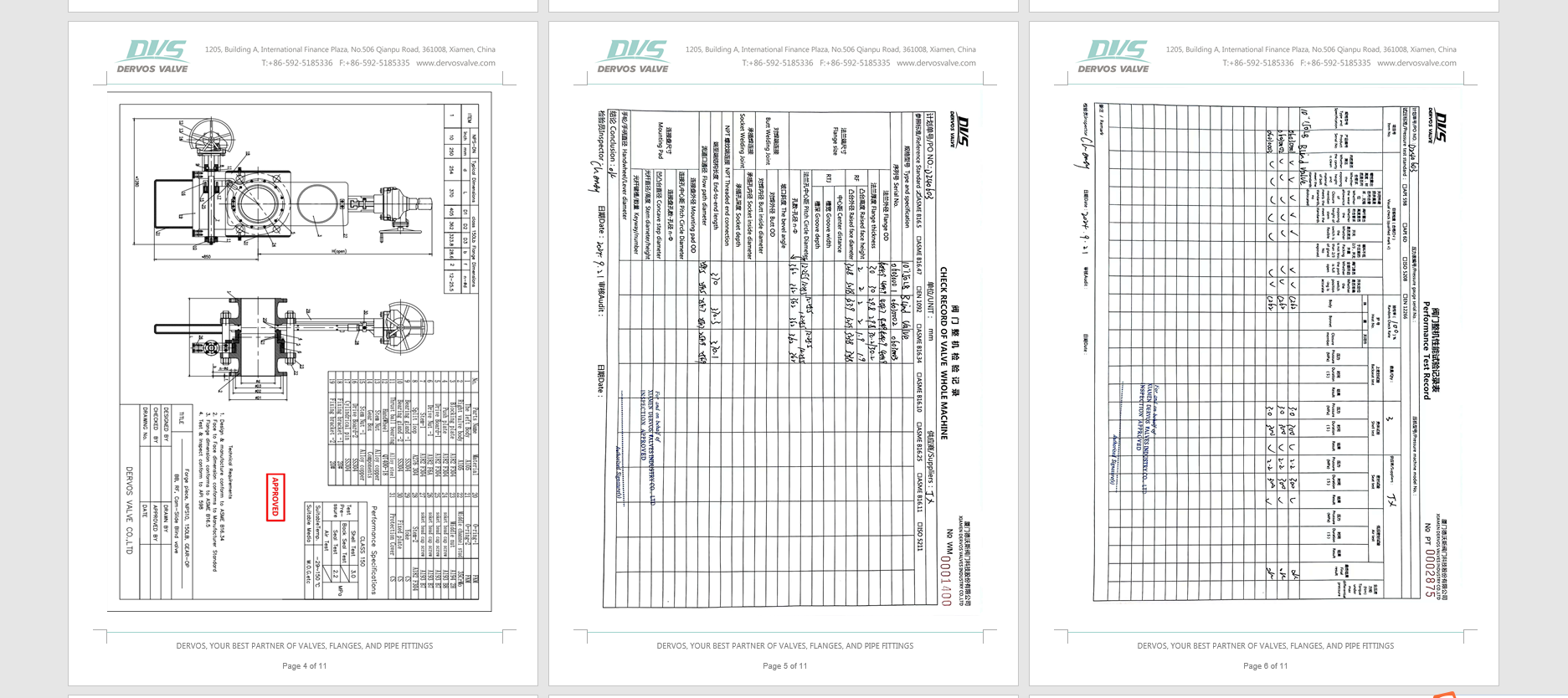 Line Blind Valve Inspection report