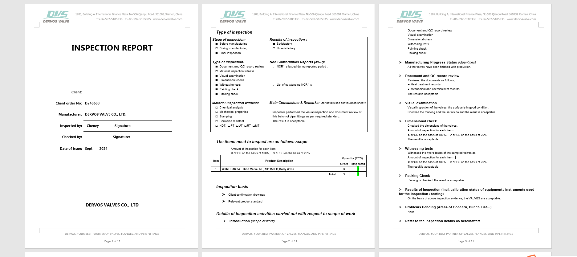 Line Blind Valve Inspection report
