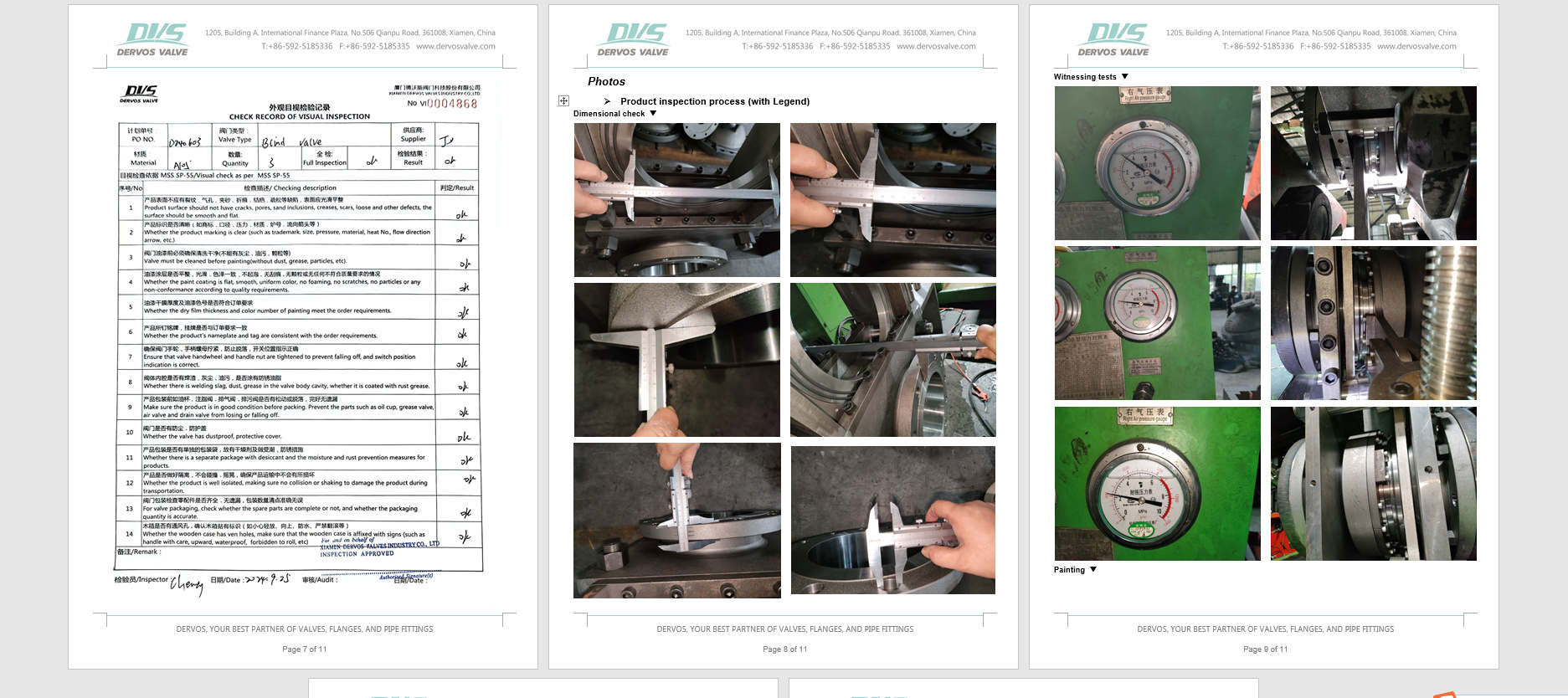 Line Blind Valve Inspection report