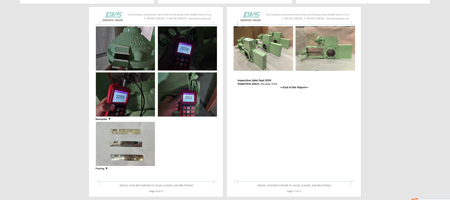 Line Blind Valve Inspection report