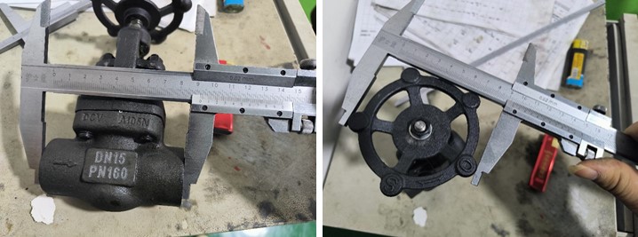1/2" PN160 Forged Steel Globe Valve, FNPT Connection, Body A105N, API602