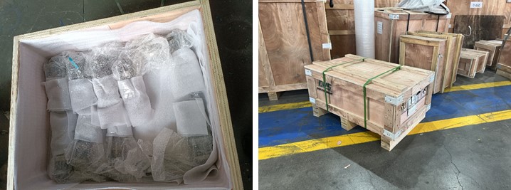 1/2" PN160 Forged Steel Globe Valve, FNPT Connection, Body A105N, API602
