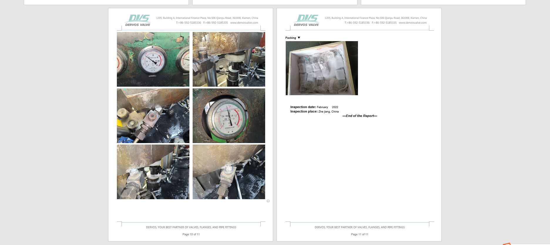 1/2" PN160 Forged Steel Globe Valve, FNPT Connection, Body A105N, API602