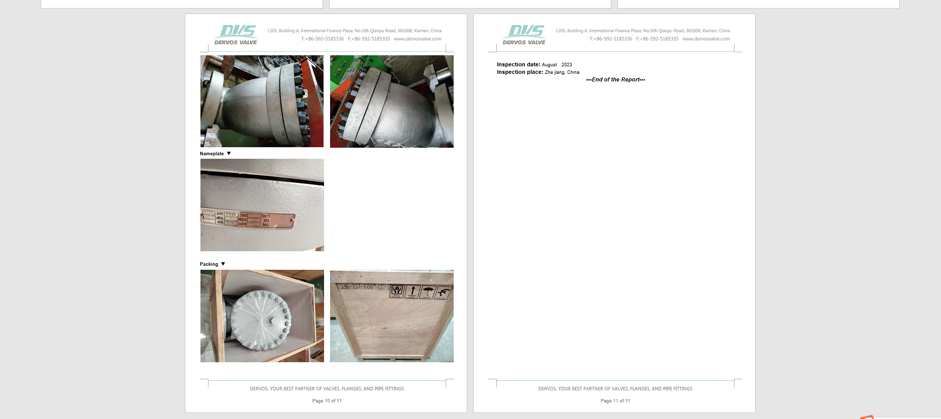 Y Type Strainer