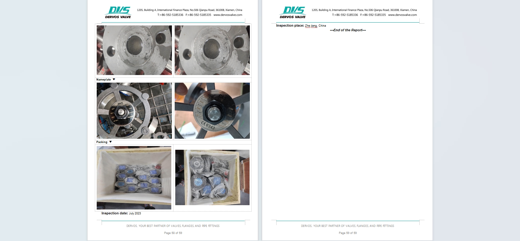 Forged Steel Globe Valve