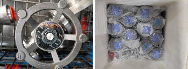 Forged Steel Globe Valve