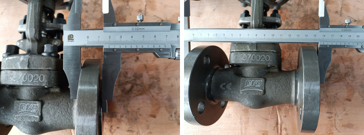 Forged Steel Globe Valve