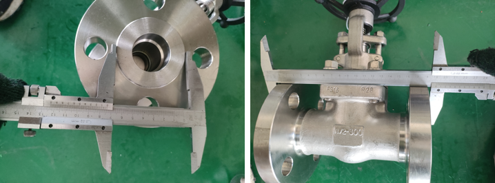 Forged Steel Gate Valve