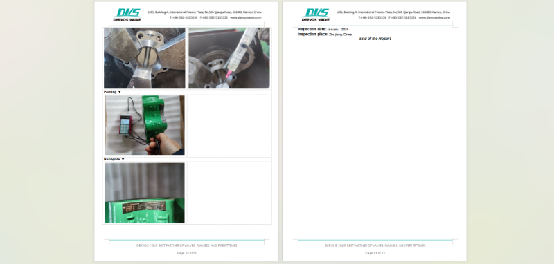  Dual Plate Wafer Check Valve