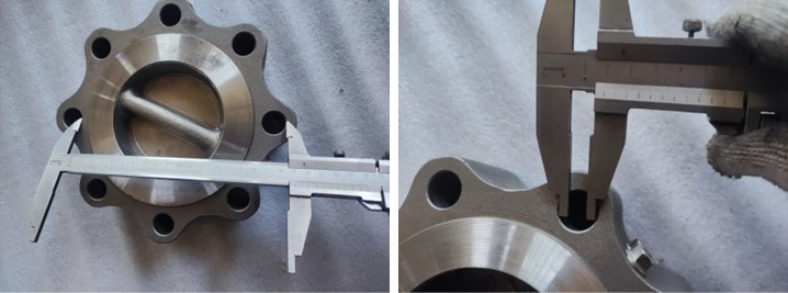  Dual Plate Wafer Check Valve