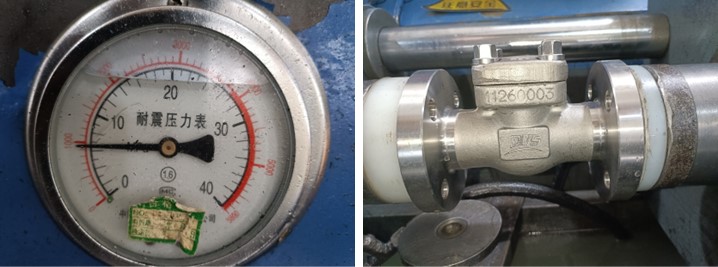 Flange Lift Check Valve