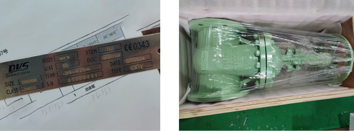 Cast Steel Gate Valve