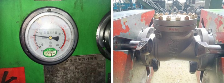 Swing Check Valve