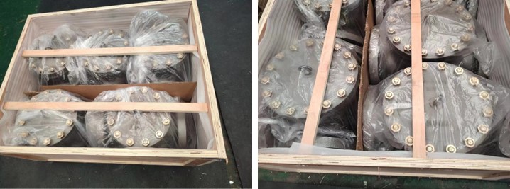 Swing Check Valve