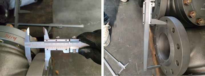 Swing Check Valve