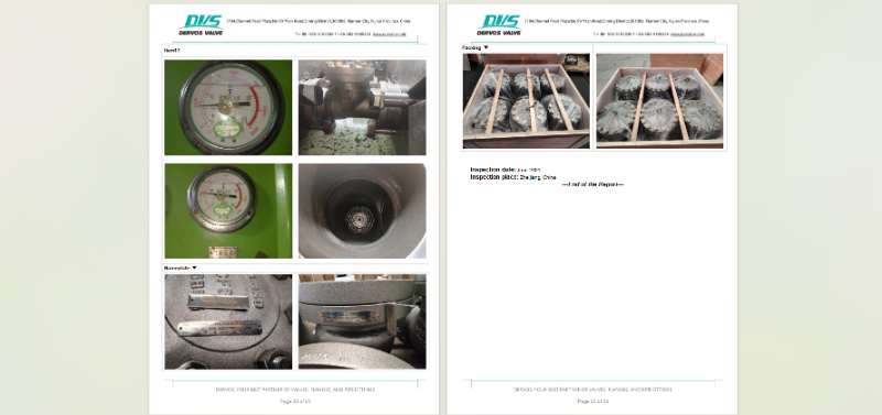 Cast Steel Swing Check Valve