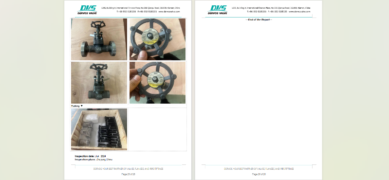 Forged Steel Globe Valve