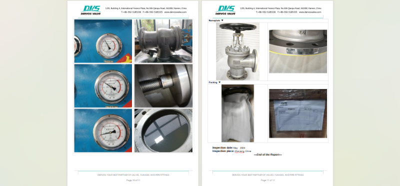 Angle Type Globe Valve