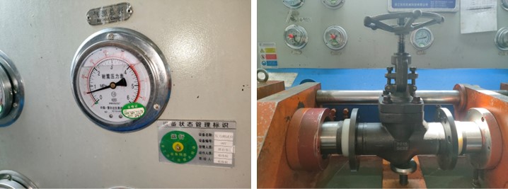 Forged Steel Globe Valve