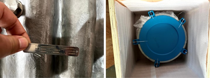 Dual Plate Wafer Check Valve