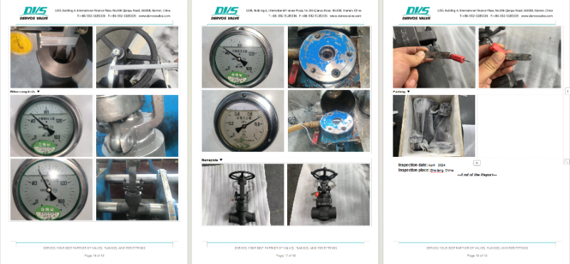 Forged Steel Globe Valve