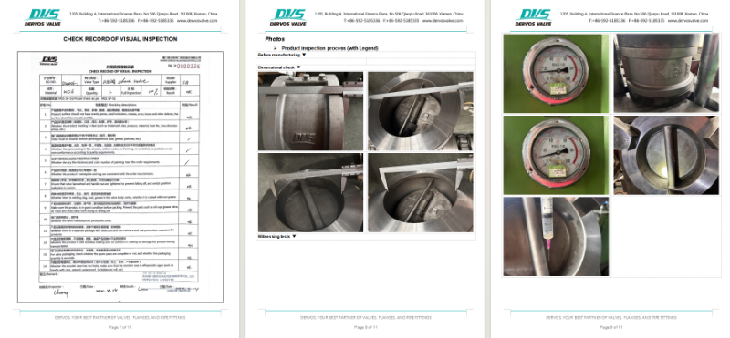 Dual Plate Wafer Check Valve