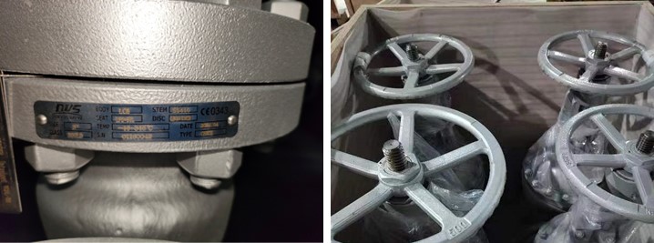 Cast Steel Gate Valve