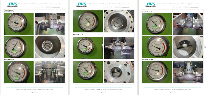 Cast Steel Gate Valve