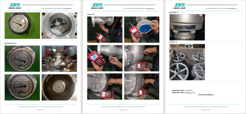 Cast Steel Gate Valve