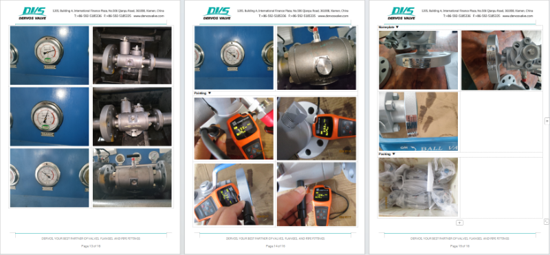 double block and bleed valve