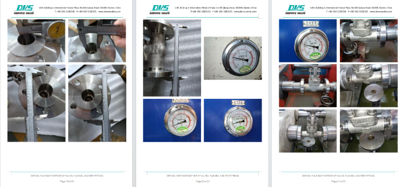 Stainless Steel Gate Valve