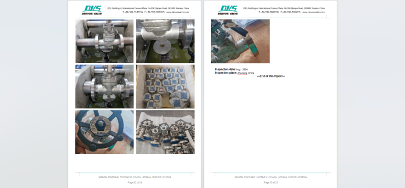 Stainless Steel Gate Valve