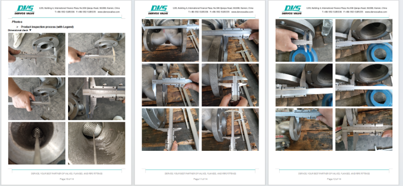 High Quality Cast Steel Y Type-Strainer