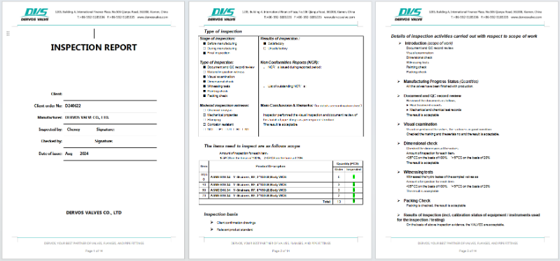 High Quality Cast Steel Y Type-Strainer