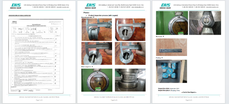 Dual Plate Wafe Type Check Valve