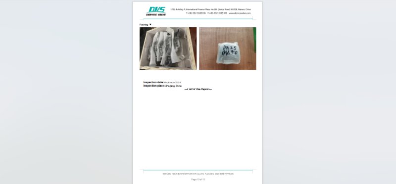 Single Plate Wafer Type Check Valve