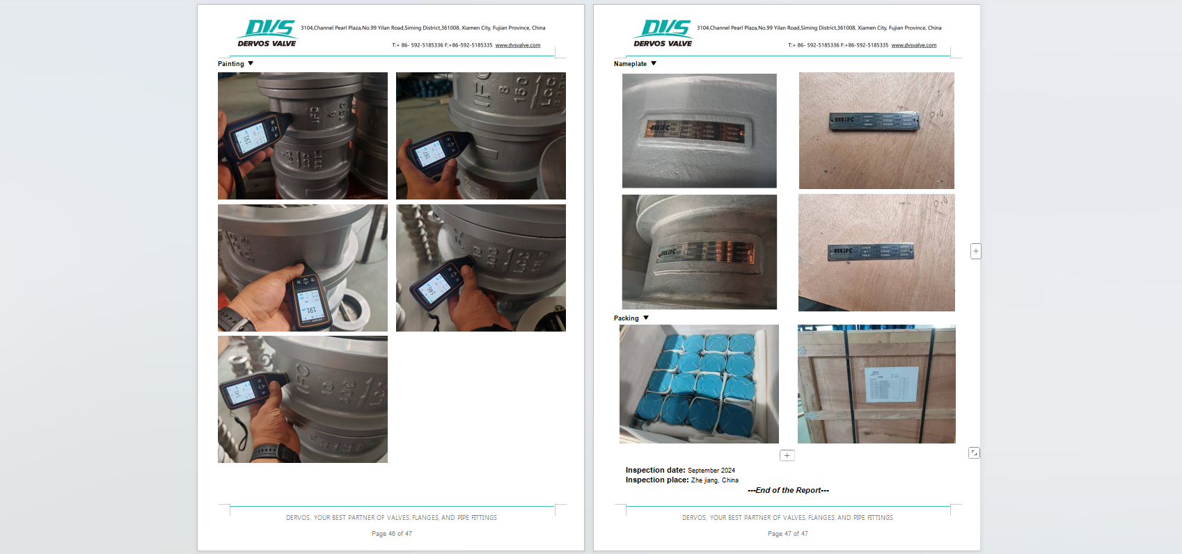 Wafer Type Check Valve