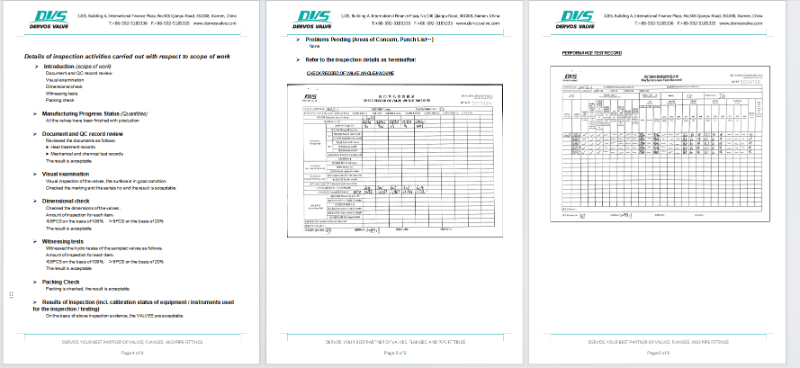 Dual Plate Wafe Type Check Valve