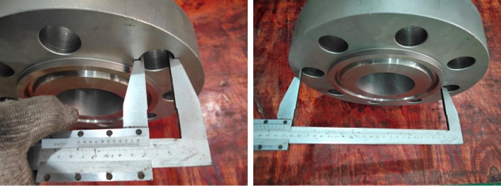 Axial Flow Check Valve