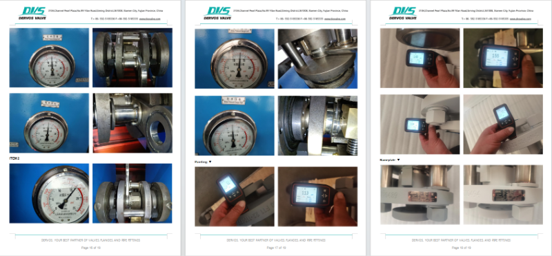 Swing Type Blind Valve