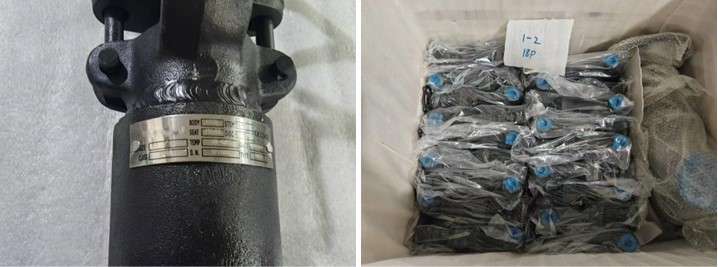 Forged Steel Gate Valve