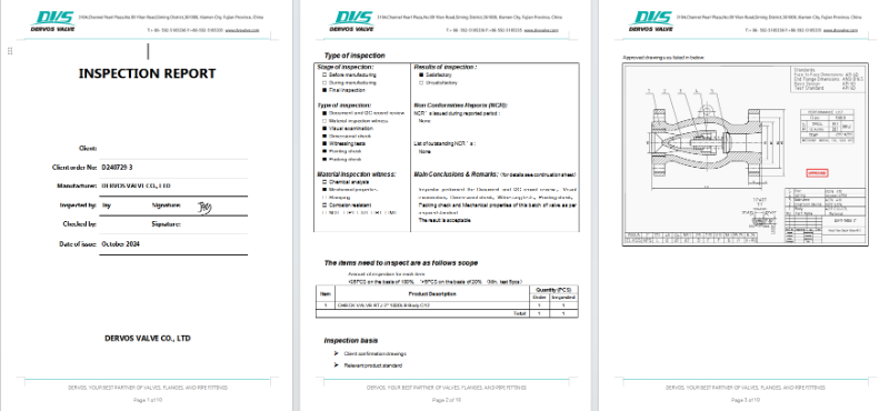 Axial Flow Check Valve China