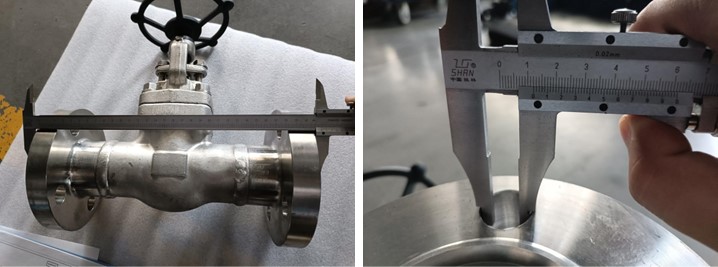 Straight Flange Globe Valve