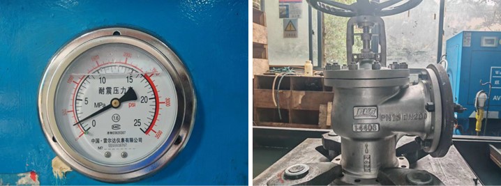 Bellows Sealed Globe Valve