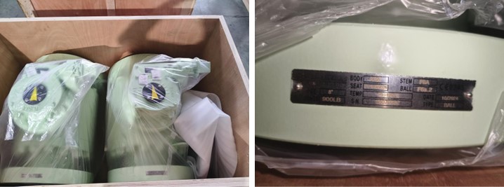 Forged Steel Trunnion Ball Valve