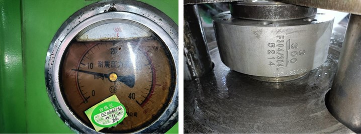 Wafer Check Valve