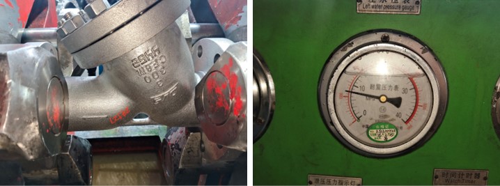 Y Type-Strainer