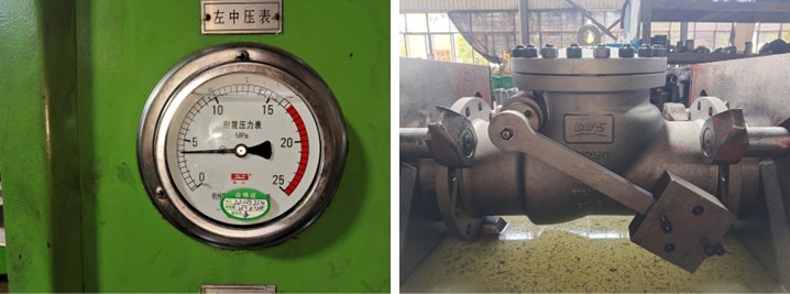 Swing Check Valve
